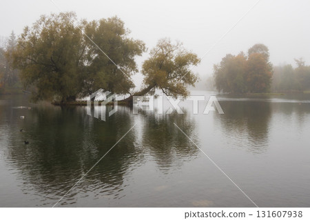 Morning mist over the lake. Morning mist over the lake. 131607938