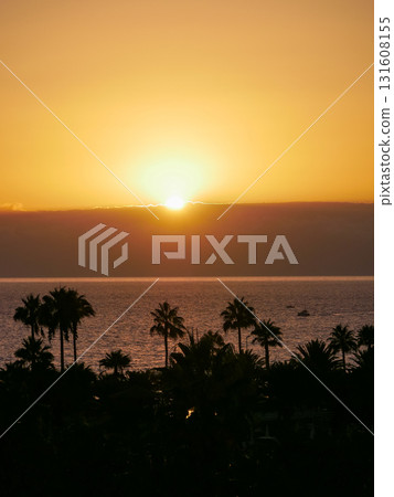 Sunset Over La Gomera island. View from Tenerife with Dramatic Clouds and Silhouetted Palms 131608155
