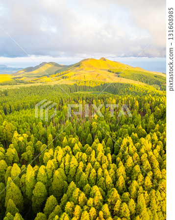 Hills, Forest and Mountains at Sunset. Azores, Sao Miguel Island, Portugal. Aerial View 131608985