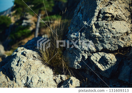Rugged Rock Formation With Grass Tuft In Mountain Terrain Rugged Rock Formation With Grass Tuft In Mountain Terrain 131609313