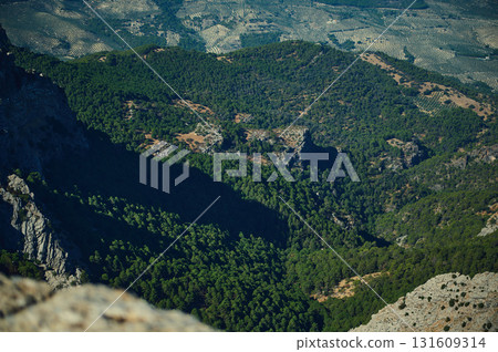 Dramatic Aerial View Of A Deep Forested Canyon With Rugged Cliffs And Green Pines, Expansive Mountain Landscape Showing Nature And Remote Adventure 131609314