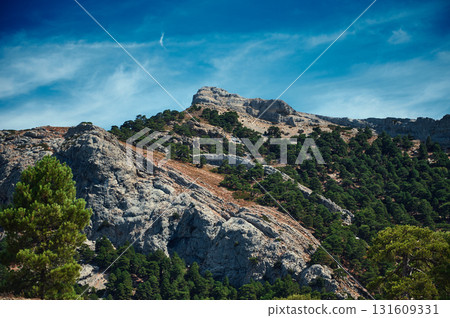 Sunlit Mountain Ridge With Pine Trees Under Clear Blue Sky - Scenic Outdoor Landscape for Nature, Travel, and Adventure 131609331