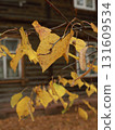 House with a red roof sits in front of two trees with yellow leaves. The house is surrounded by a wooden fence. The scene has a peaceful. Collage, watercolor paper and photography. 131609534