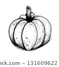 Hand Drawn Pumpkin Illustration 131609622