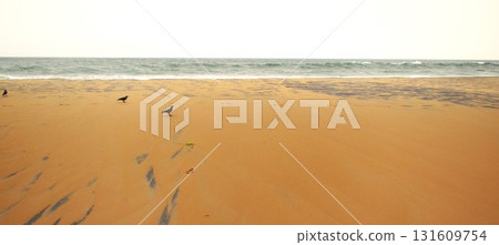 Beach scene with crows Beach scene with crows 131609754