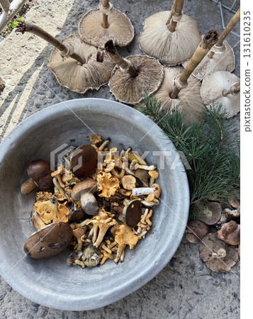 A basin with edible mushrooms. Nearby lie parasol mushrooms. Close-up. Shot from above. A basin with edible mushrooms. Nearby lie parasol mushrooms. Close-up. Shot from above. 131610235