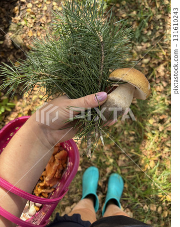 A female mushroom hunter holds a porcini mushroom and a pine branch in her hands. Against the backdrop of an autumn forest floor. 131610243