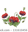 Poppy flower composition with pod, branch. Botanical watercolor 131610456