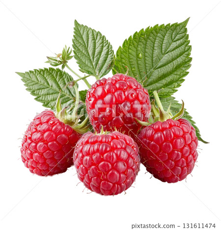 An isolated image of a bunch of ripe raspberries with green leaves on a white background demonstrates the freshness of the berries. This image is suitable for healthy eating and dessert themes. 131611474