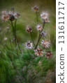 Autumn forest plants with soft focus and watercolor bokeh 131611717