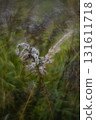 Autumn forest plants with soft focus and watercolor bokeh 131611718