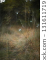 Autumn forest plants with soft focus and watercolor bokeh 131611719