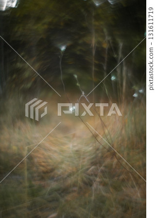 Autumn forest plants with soft focus and watercolor bokeh 131611719