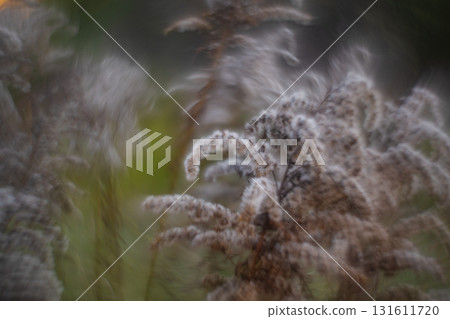 Autumn forest plants with soft focus and watercolor bokeh Autumn forest plants with soft focus and watercolor bokeh 131611720