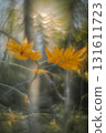 Artistic Autumn Rowan Leaf with Soft Focus and Watercolor Bokeh. Forest cinematic background.  131611723