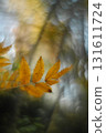 Artistic Autumn Rowan Leaf with Soft Focus and Watercolor Bokeh. Forest cinematic background.  131611724