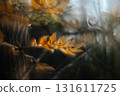 Artistic Autumn Rowan Leaf with Soft Focus and Watercolor Bokeh. Forest cinematic background.  131611725