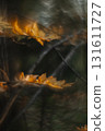 Artistic Autumn Rowan Leaf with Soft Focus and Watercolor Bokeh. Forest cinematic background.  131611727