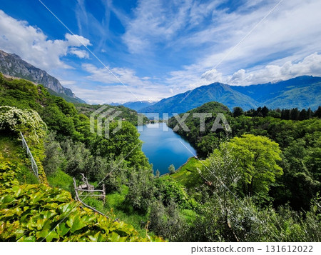 Alpine Lake Panorama with Forest 131612022