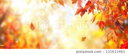 Colorful autumn leaves dance in the sunlight, leaving room for your design to stand out in this seasonal backdrop. 131612461