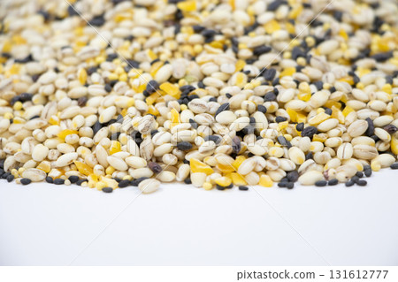 Millet Millet 131612777