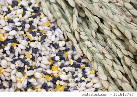 雜糧稻穗 雜糧稻穗 131612785