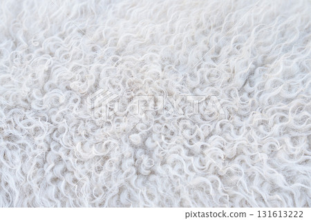 White sheepskin texture, background Fur karakul lamb. 131613222