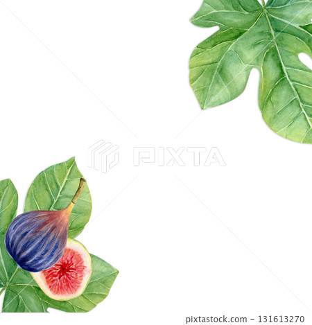 Figs and fig leaves watercolor square frame. Hand-painted botanical illustration isolated on white. Perfect for food packaging, kitchen prints, cards, invitations, organic branding, natural design Figs and fig leaves watercolor square frame. Hand-painted botanical illustration isolated on white. Perfect for food packaging, kitchen prints, cards, invitations, organic branding, natural design 131613270