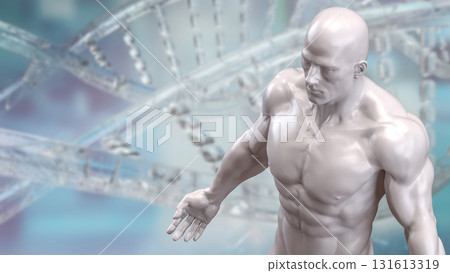 The Human Body for Science or medical concept 3d Rendering. 131613319