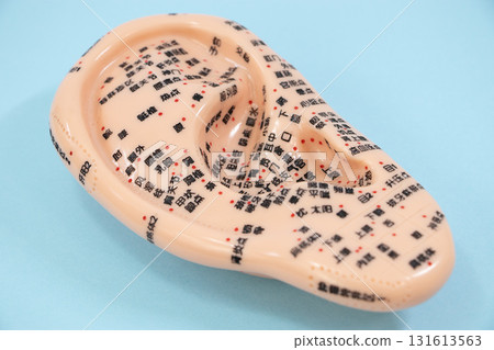 耳針耳模型 131613563