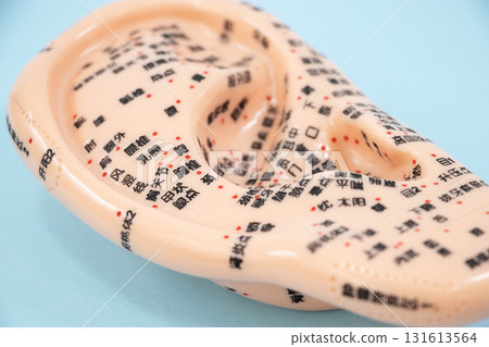 耳針耳模型 131613564