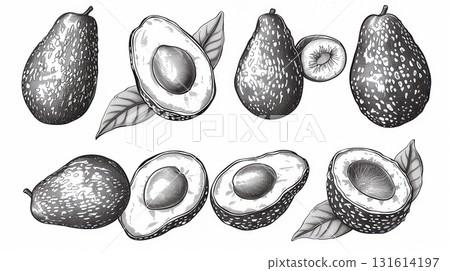 avocado sketch drawing summer fruit healthy food fresh 131614197