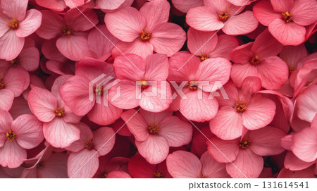 flowers petals details closeup hydrangea showcasing packed creating 131614541