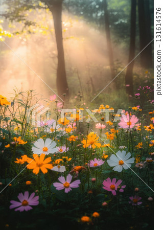 meadow variety flowers daisies blooms forest scene light 131614576