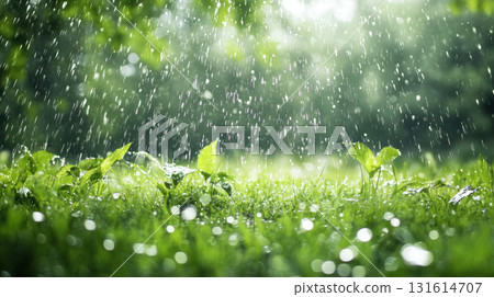 meadow dewdrops area closeup green set backdrop forested 131614707
