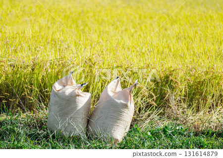 Ripened rice and rice bags Ripened rice and rice bags 131614879