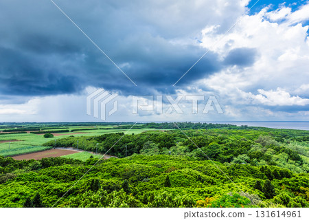 熱帶雨和晴朗天空的邊界 熱帶雨和晴朗天空的邊界 131614961