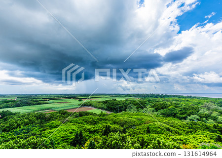 熱帶雨和晴朗天空的邊界 131614964