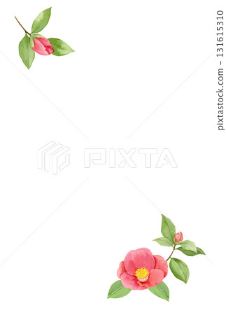 山茶花冬季明信片 131615310