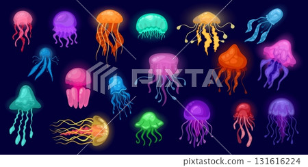 Glowing jellyfish. Cartoon medusa, neon jelly fish sea deep fantasy creature magic exotic underwater animal ocean beautiful marine fauna aquatic life, kicky vector illustration 131616224