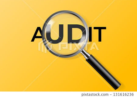 Magnifying glass audit. Internal business analysis concept, evaluate financial performance quality data document research risk assessment inspection, exact vector illustration Magnifying glass audit. Internal business analysis concept, evaluate financial performance quality data document research risk assessment inspection, exact vector illustration 131616236