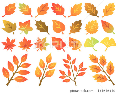 Illustration set of various autumn leaves and branches Illustration set of various autumn leaves and branches 131616410