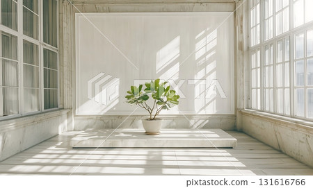 Bright and Airy Indoor Space with Potted Plant Near Elegant Sunlit Windows 131616766