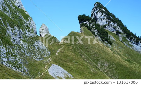 Scenic mountain trail winding through rocky landscape under clear blue sky in daytime near alpine region 131617000