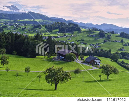 Vibrant green landscape with farms and rolling hills under a cloudy sky in Switzerland Vibrant green landscape with farms and rolling hills under a cloudy sky in Switzerland 131617032