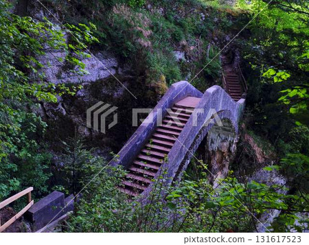 Staircase bridge leading through lush greenery in a serene forest setting 131617523