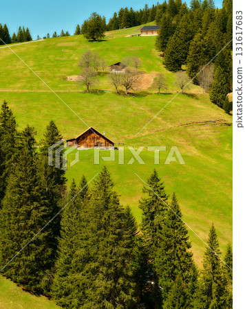 Scenic view of rolling green hills with rustic wooden cabins and lush pine trees in a tranquil countryside landscape Scenic view of rolling green hills with rustic wooden cabins and lush pine trees in a tranquil countryside landscape 131617683