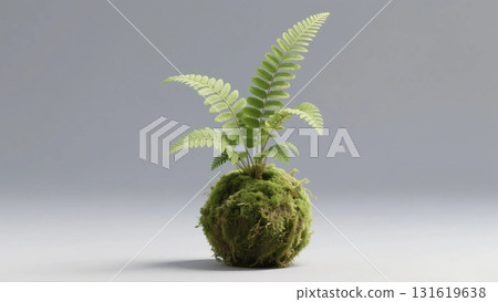 Background image of a moss ball with ferns growing on it Background image of a moss ball with ferns growing on it 131619638