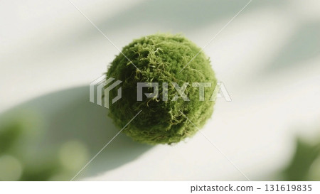 背景圖像為白色牆壁,上面長滿了茂盛的苔蘚球 背景圖像為白色牆壁,上面長滿了茂盛的苔蘚球 131619835