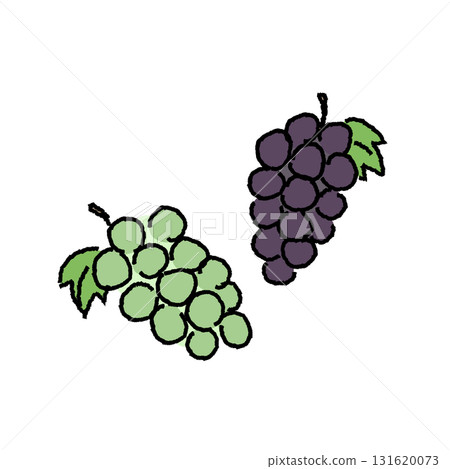 巨峰與閃耀麝香葡萄酒彩色插畫素材 131620073